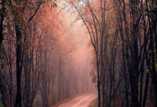 火箭队裁员减薪，球队陷入财政困境