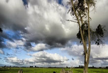 火箭队裁员减薪，球队陷入财政困境