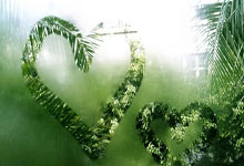 火箭队裁员减薪，球队陷入财政困境