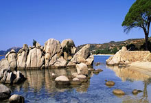 日本女足表现出色，轻松淘汰对手晋级下一轮