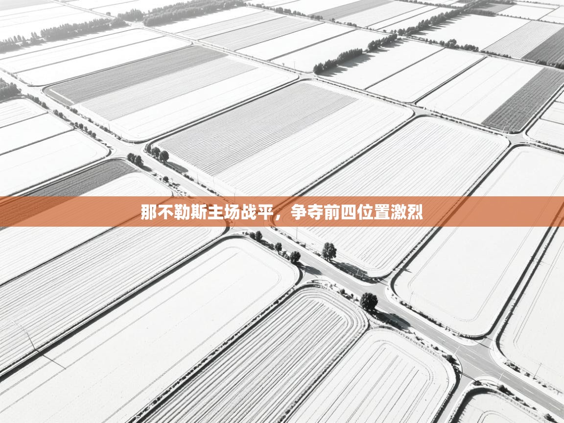 那不勒斯主场战平，争夺前四位置激烈  第2张