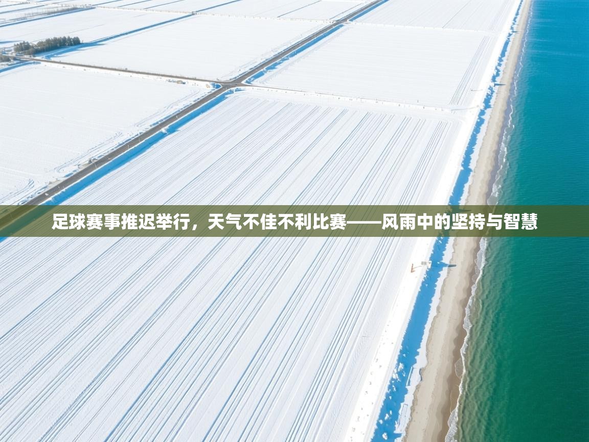 足球赛事推迟举行，天气不佳不利比赛——风雨中的坚持与智慧  第2张