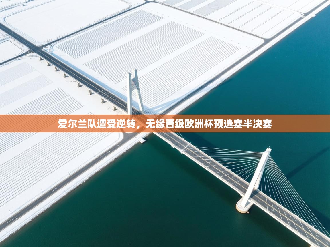 爱尔兰队遭受逆转，无缘晋级欧洲杯预选赛半决赛  第1张