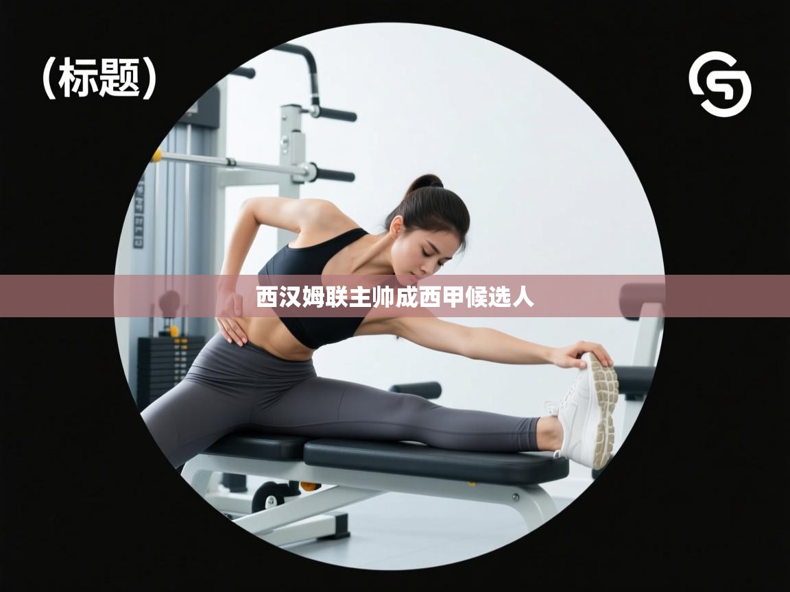 西汉姆联主帅成西甲候选人  第2张